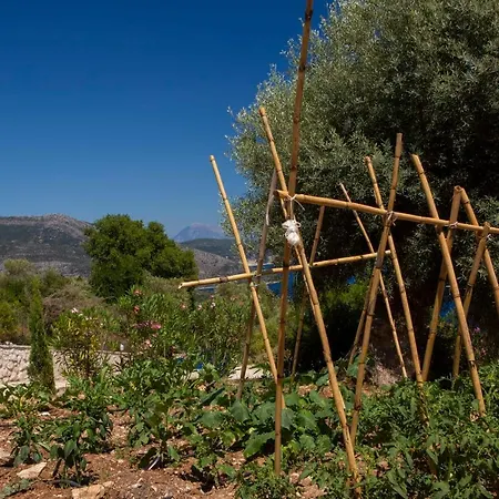 Evalin - Pretty Like At For Unforgettable Holidays